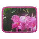 Orchid Portfolio Planners
