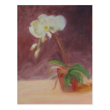 "Orchid" Post Cards