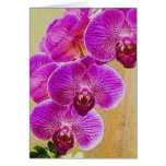 Orchid Promises Card ~ customizable original art