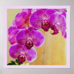 Orchid Promises Print