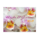 Orchid • RSVP Postcard