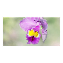 Orchid touched by God for Mom Custom Photo Card