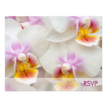 Orchid • Wedding Invitation RSVP