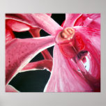 Orchidée Poster