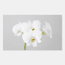 Orchidée blanche (2) autocollants