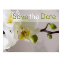 Orchidée blanche • Sauvez la carte postale de date