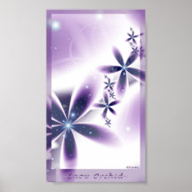 Orchidée de neige - de petite taille affiches