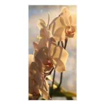 Orchidée ensoleillée cartes avec photo