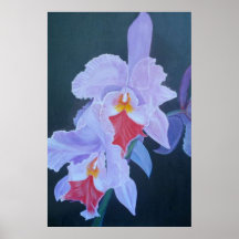 Orchidée Posters