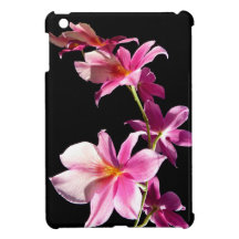 Orchidée rose