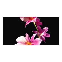 Orchidée rose cartes de vœux avec photo