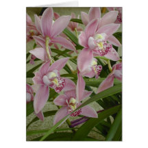 Orchidée rose de Cymbidium Carte De Vœux
