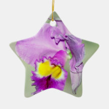 Orchidée touchée par Dieu Décoration De Noël