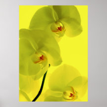 Orchideen Kunst 2 Posterdruck