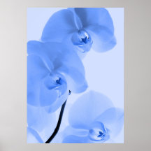 Orchideen Kunst 4 Plakatdruck