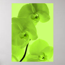 Orchideen Kunst 5 Plakatdruck