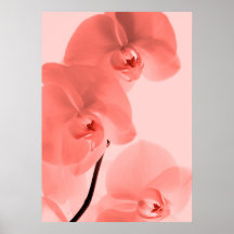 Orchideen Kunst Rot Plakate