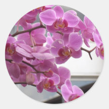 Orchidées Adhésif Rond