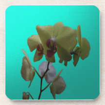 Orchidées ; Jaune et blanc Dessous-de-verre