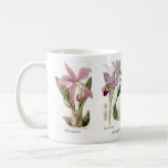 Orchidées Mugs À Café