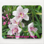 Orchidées roses de tapis de souris
