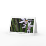Orchids and Bamboo Note Card
