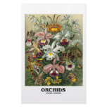 Orchids (Artforms Of Nature) stationery