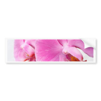 Orchids Bumper Sticker