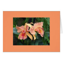 Orchids Cards