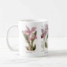 Orchids Coffee Mugs