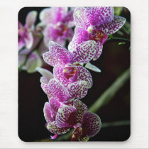 Orchids Floral Mousepad