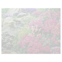 Orchids  flowers letterhead design
