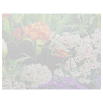 Orchids  flowers personalized letterhead
