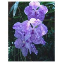 Orchids Custom Flyer