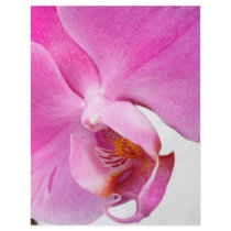 Orchids Personalized Flyer