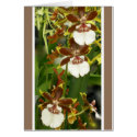 Orchids in Hawaii cards
