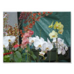 Orchids.jpg Photo Print