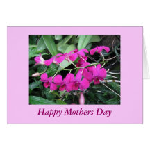 Orchids Love Mothers Day Card