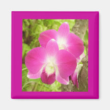 Orchids Magnet