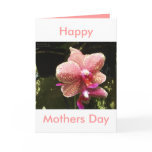 Orchids Mothers Day Card (your words)