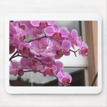 Orchids Mouse Mats