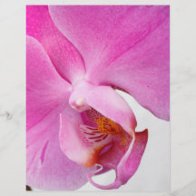 Orchids Personalized Flyer
