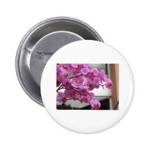 Orchids Pinback Button