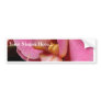 Orchids Plants Flowers Bumper Stickers