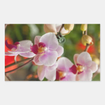 orchids rectangle sticker