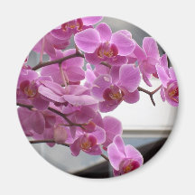 Orchids Refrigerator Magnets