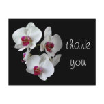 orchids: thank you! post cards