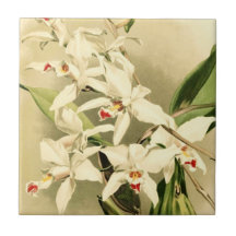 Orchids ~ Vintage Tile