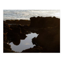 Oregon Coast Cloud Pool Postcard