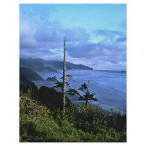 Oregon Coast Flyers